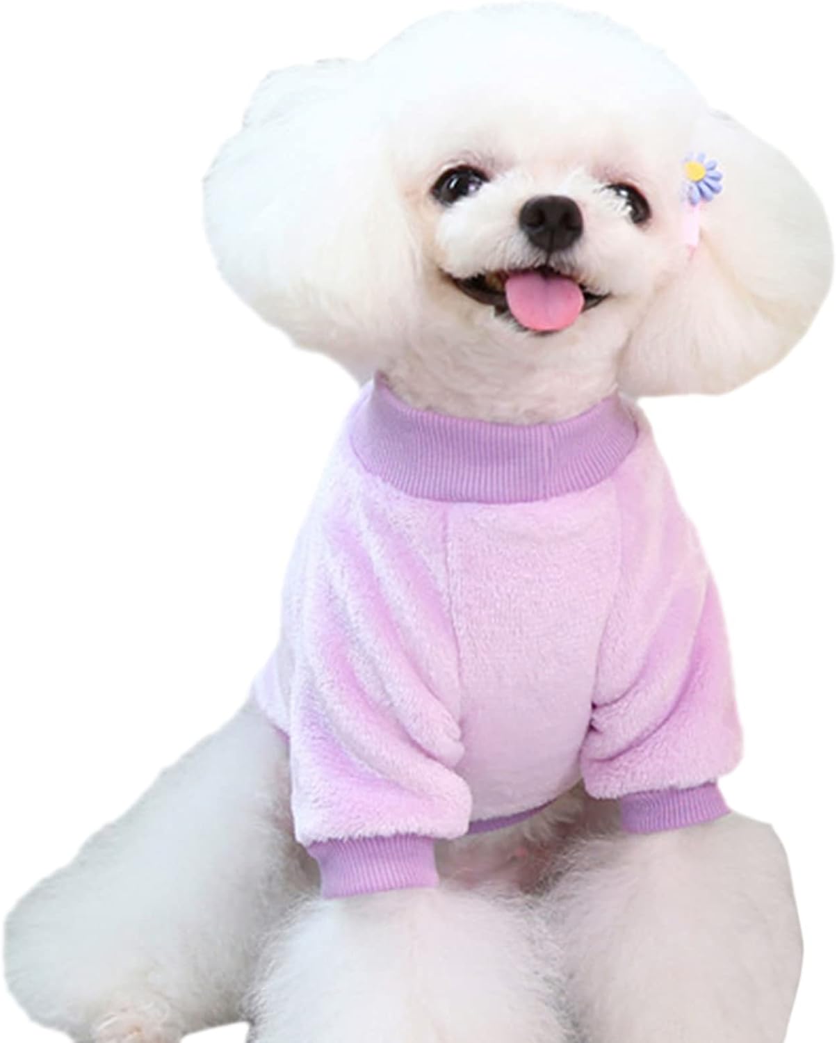 Jecikelon Pet Dog Clothes Dog Sweater Soft Thickening Warm Pup Dogs Shirt Winter Puppy Sweater for Dogs (Z01-Purple, XX-Small)