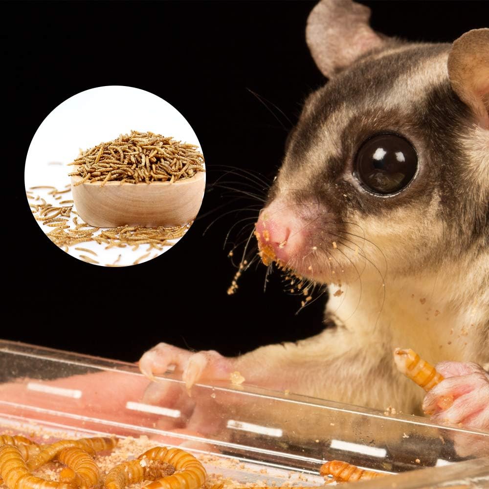 20lbs Mealworms, High-Protein Dried Mealworms for Birds, Chickens, Turtles, Fish, Hamsters and Hedgehogs, Non-GMO and Chemical Free, All Natural Animal Feed