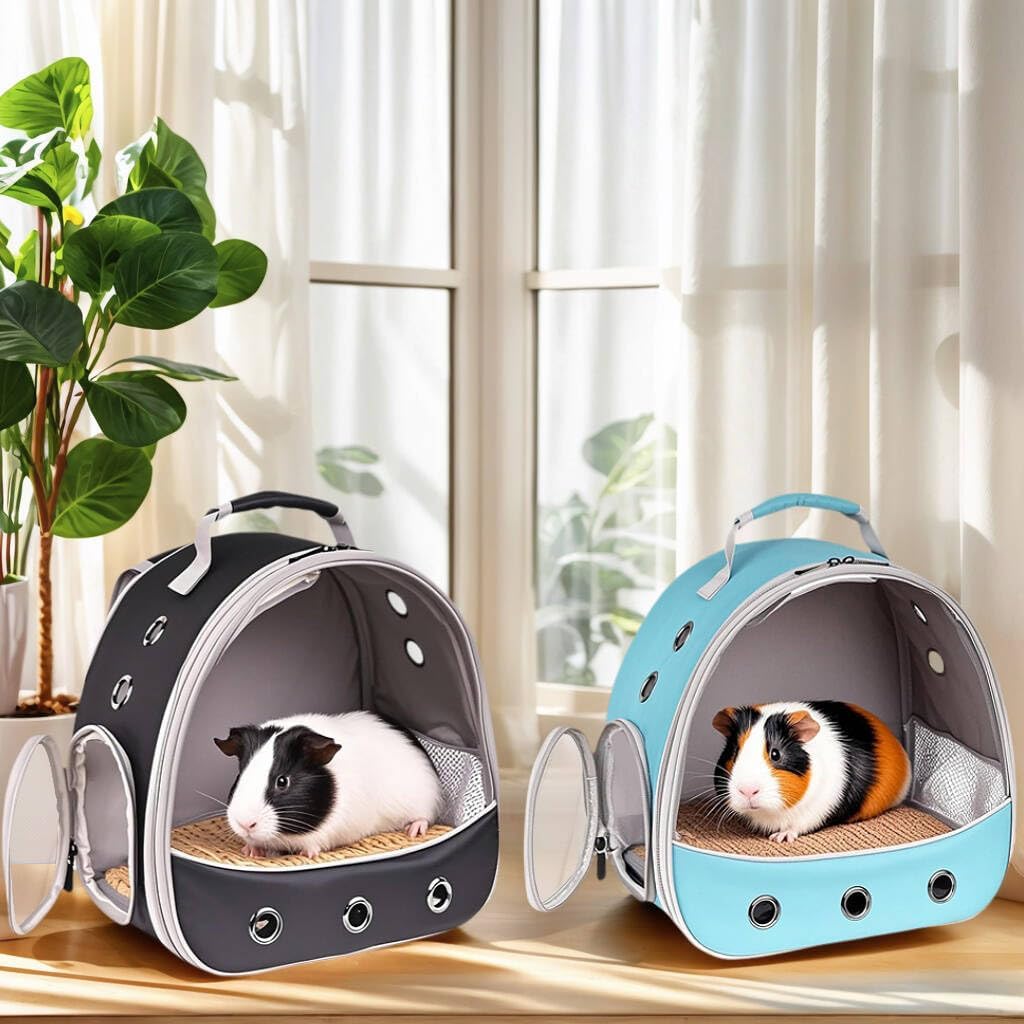 Small Animal Travel Carrier Backpack to Carry and Transport Guinea Pig Birds Bearded Dragon, Clear Front Window, Portable Bag to Transport Hamster Hedgehog