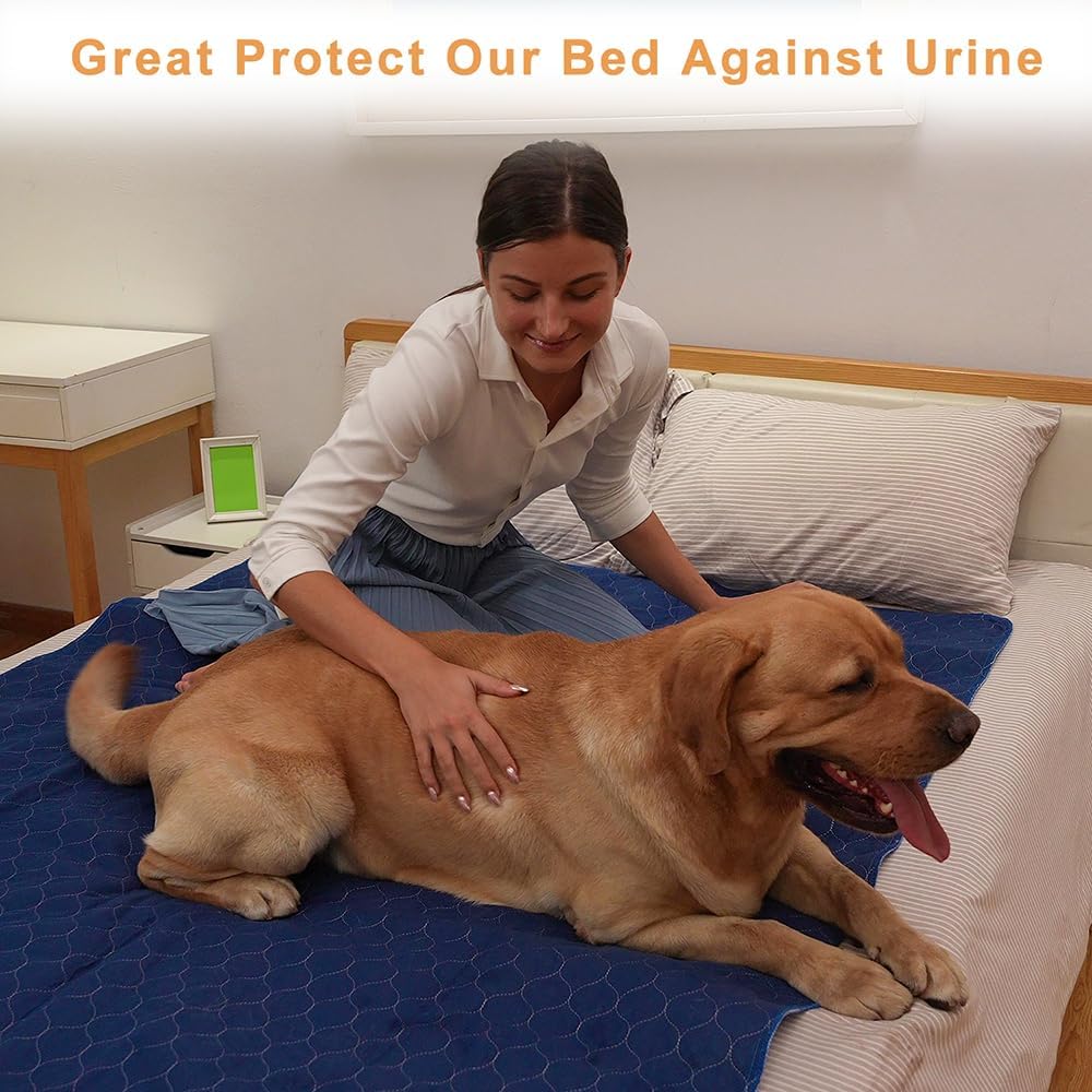 2Pack Dog Pads Washable 53”x65”, Extra Large Puppy Pads Waterproof, Super Absorption, Anti Skid Whelping Pad for Puppy Pen