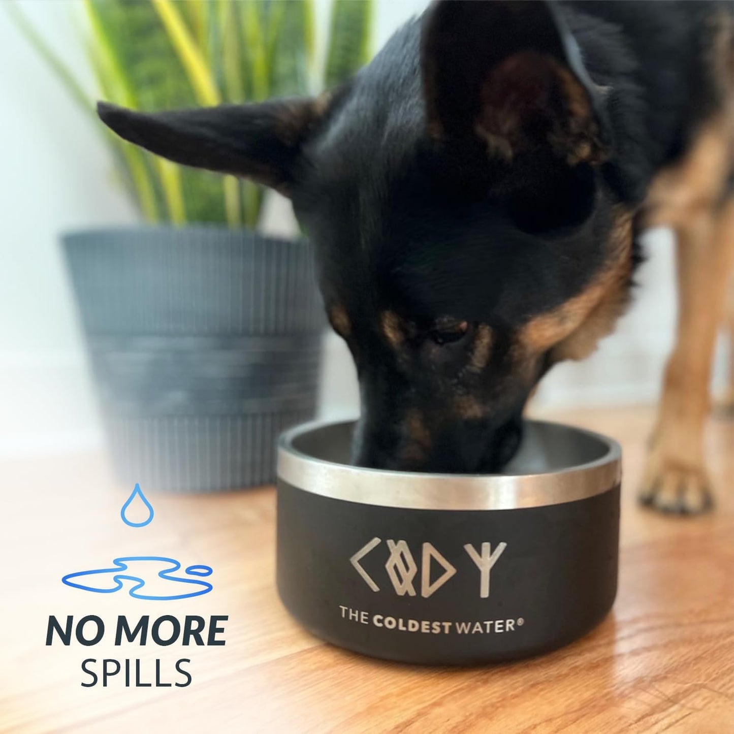 Coldest Dog Bowl - Anti Rust Metal, Non Slip, 3 Layers Insulated Stainless Steel Dog Bowls - Spill Proof & Heavy Duty - Water Bowl for Dogs, Cats & Pets, Dish Washer Safe (21 oz, Stealth Black)