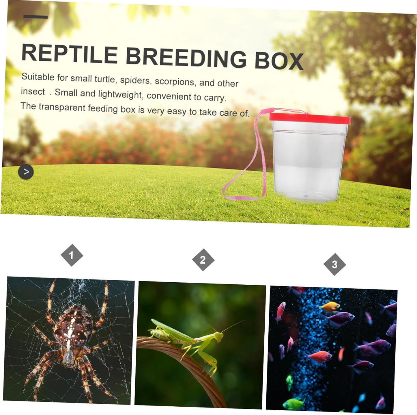 Reptile Tank Decor Aquatic Turtle Tank Plastic Pet Feeding Container Easy to Use Feeding Box Color