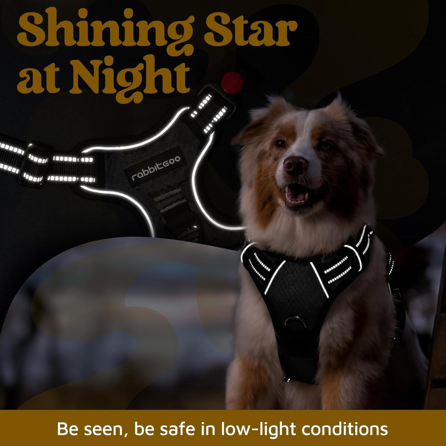 rabbitgoo Dog Harness for Large Dogs, No Pull Pet Vest with 3 Buckles, Adjustable Soft Padded Pet Harness with Easy Control Handle and Reflective Strips, Black, XL