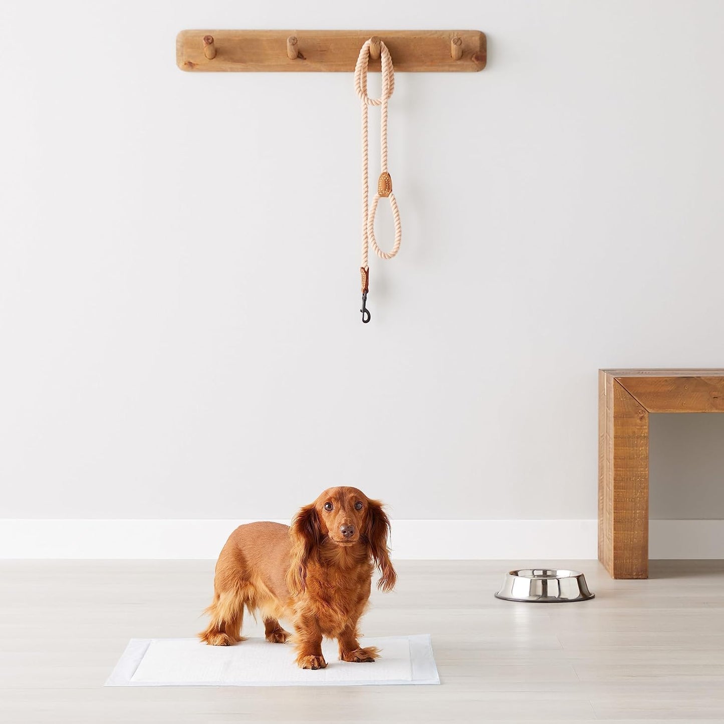 Amazon Basics Scented Dog and Puppy Pee Pads, 5-Layer Leak-Proof Super Absorbent, Quick-Dry Surface, Potty Training, Regular (22x22"), 150 Count, Blue