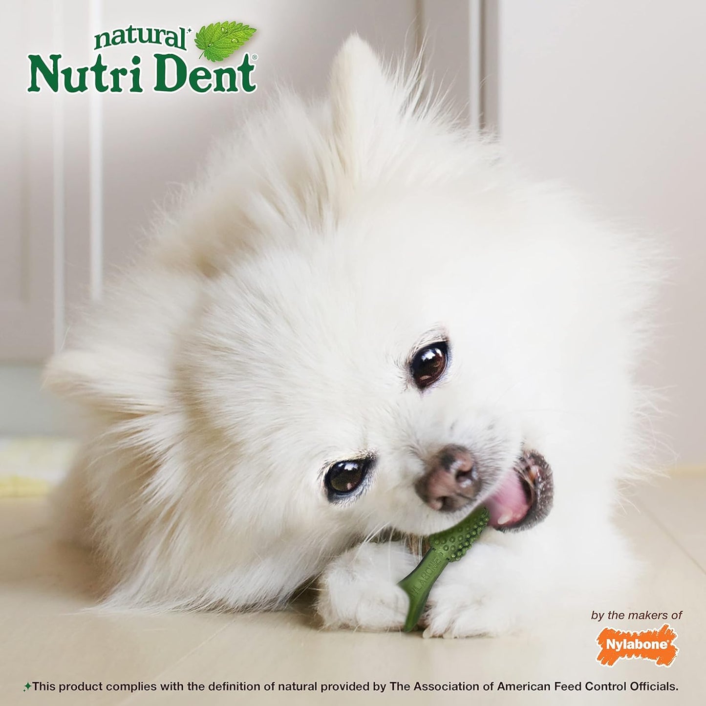 Nylabone Nutri Dent Dog Dental Chews, Natural Teeth Cleaning Treats & Breath Freshener for Dogs, Fresh Mint Flavor, Mini (78 Count)
