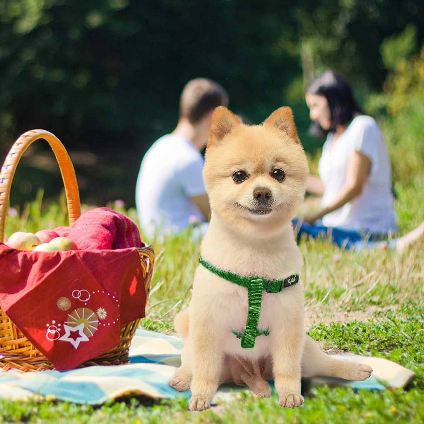 PUPTECK No Pull Dog Harness Soft Adjustable Basic Nylon Step in Puppy Vest Outdoor Walking with ID Tag, Blackish Green, XS