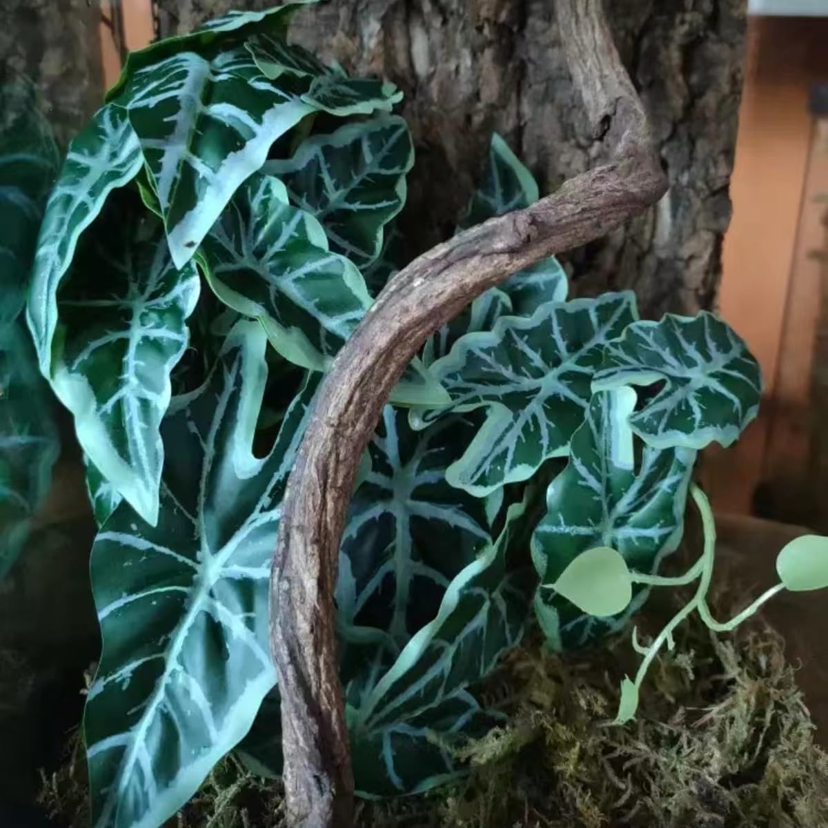 Reptile Plants,Terrarium Decor,Amphibian Habitat Decor,Artificial Plants for Gecko Chameleon Snake Tortoise Tank Accessories with Base(Alocasia)