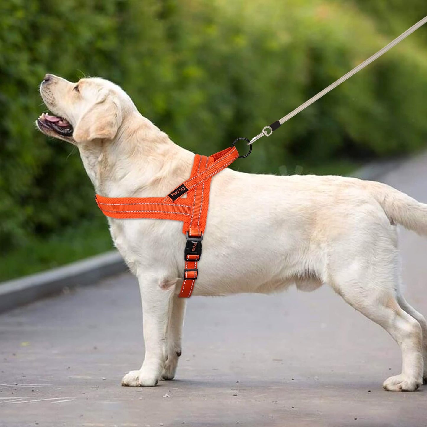 Didog No Pull Dog Harness with Soft Mesh Padded,Reflective & Quick Fit Light Weight Dog Strap Vest Harness,Easy for Walking Training (L:Chest 26-32", Orange)