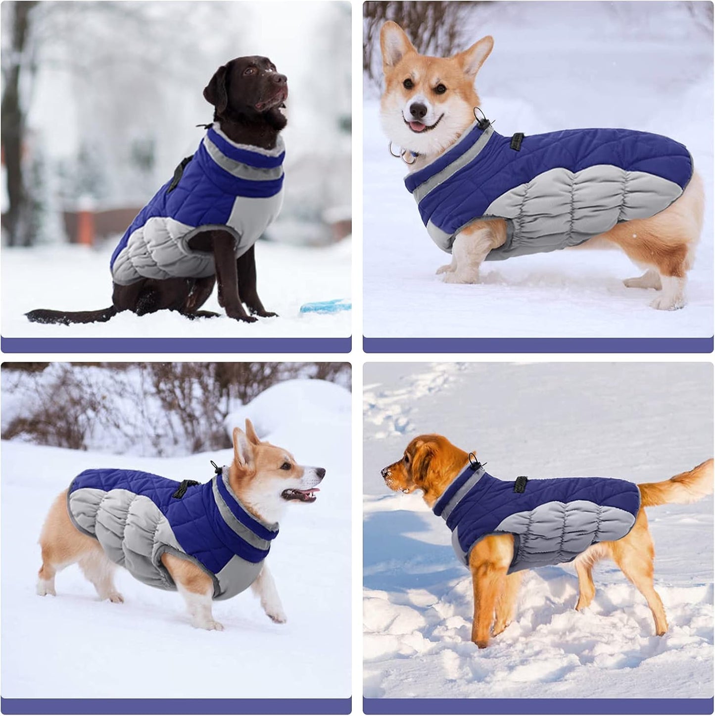 FUAMEY Dog Coat for Small Dogs,Waterproof Dog Winter Jacket with Harness Built in Puppy Cold Weather Coats Reflective Pet Vest with Zipper Warm Fleece Dogs Snowsuit Windproof Blue S