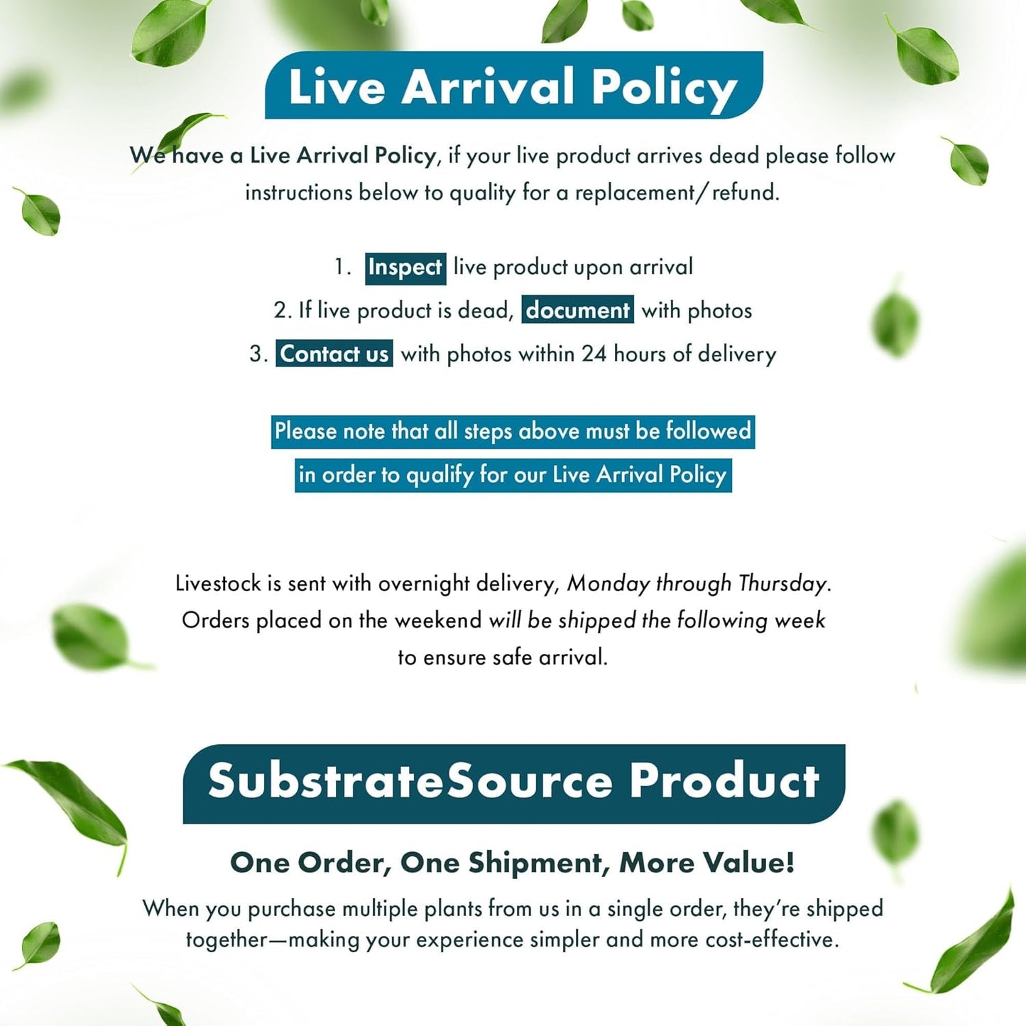 SubstrateSource Live Plants – Madagascar Lace Plant (Aponogeton madagascariensis) – Medium to High Light, Light to Dark Green Color, Midground to Background, Lace Leaf - Bulb/Bunch, 1 Pack