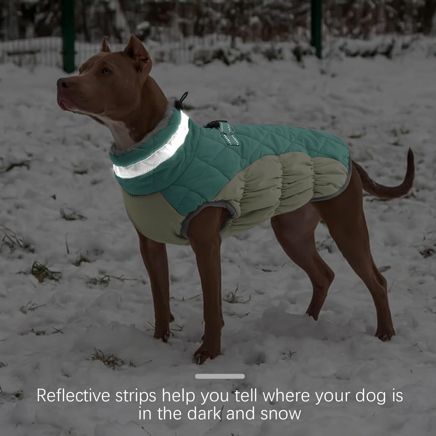 FUAMEY Dog Coat for Large Dogs,Waterproof Dog Winter Jacket with Harness Built in Puppy Cold Weather Coats Reflective Pet Vest with Zipper Warm Fleece Dogs Snowsuit Windproof Mint Green XL