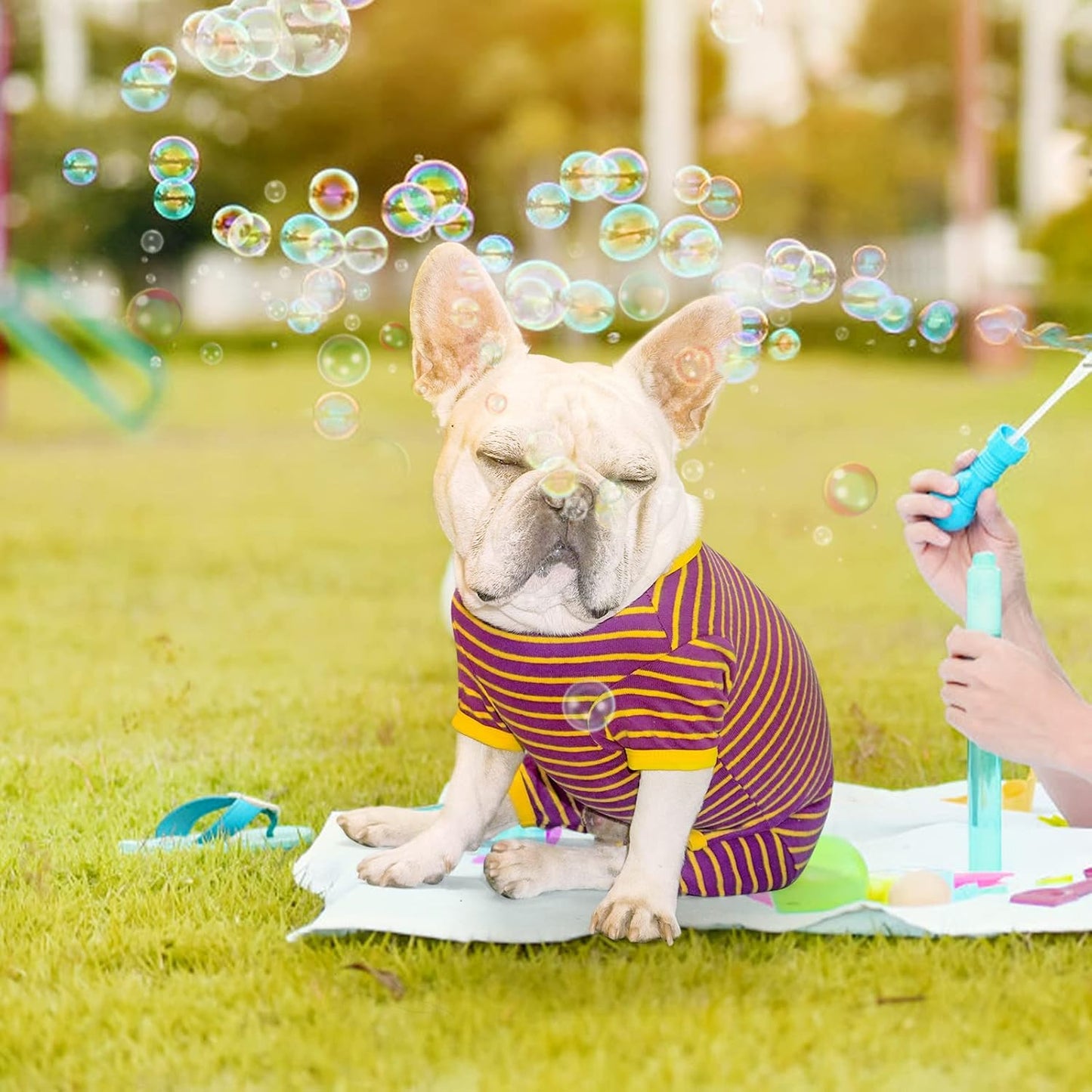 TONY HOBY Dog Pajamas, Male Dogs Warm Pajama with Thermal, Dog Jumpsuit Pajamas for Small Medium Dogs (Purple&Yellow, Boy, XXL)