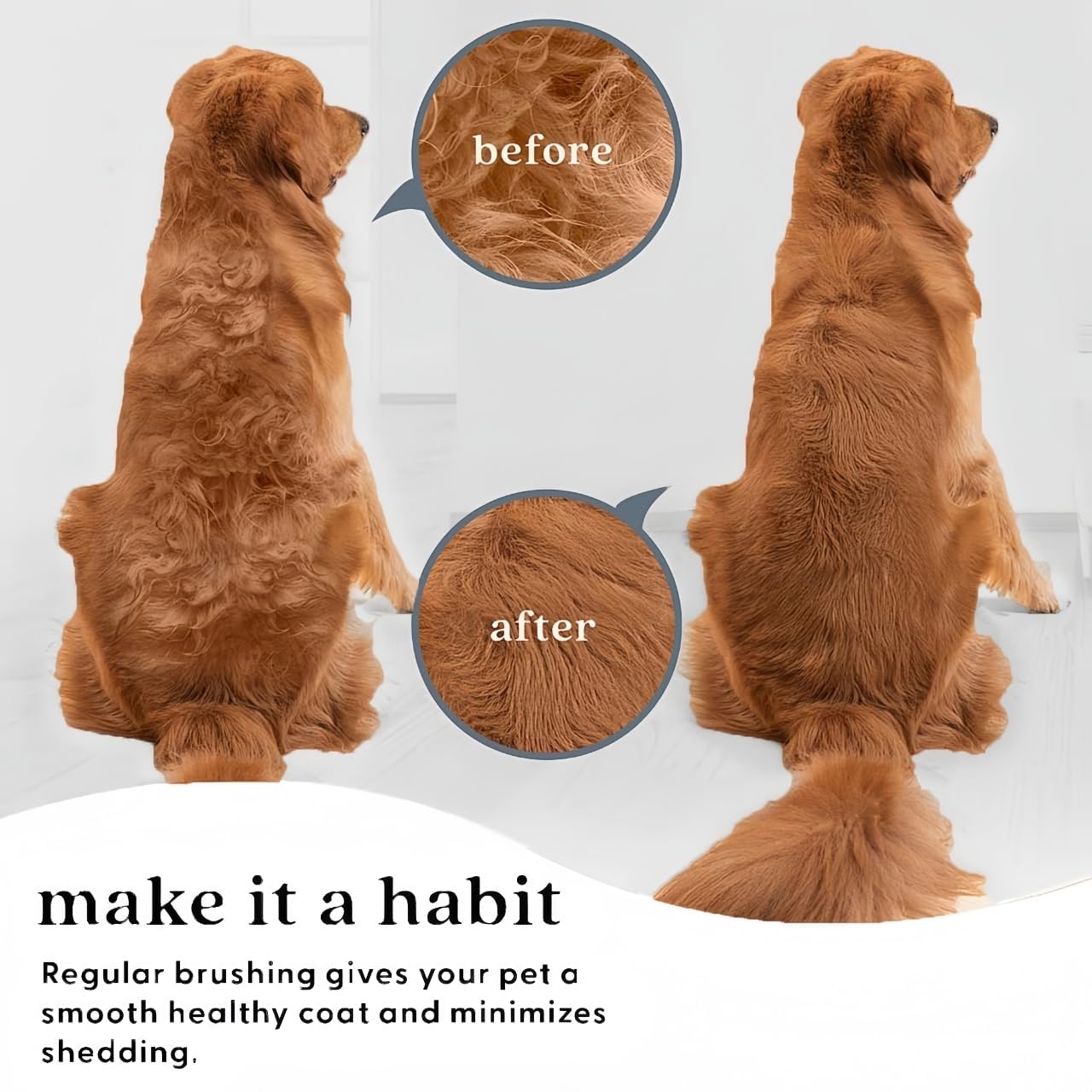 Marchul 2-in-1 Cat Grooming Brush, Cat Brushes with Release Button & Deshedding Dematting Rake, Grooming Comb Tool for for Long or Short Haired Pets, Reduce Shedding, Remove Knots and Massage, White