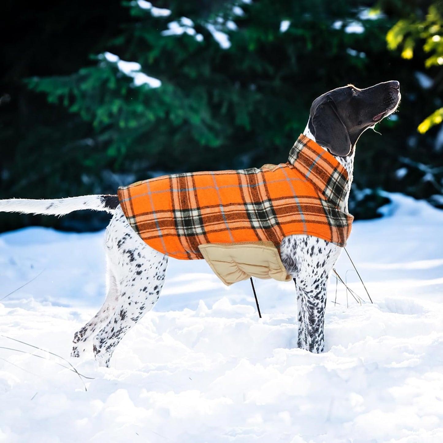 Kuoser Warm Dog Coat, Waterproof Dog Jacket for Extra Large Dogs, Adjustable Durable XXL Doggie Winter Coat Reversible Puppy Cold Weather Apparel from Small to Large Breed, Orange XXL