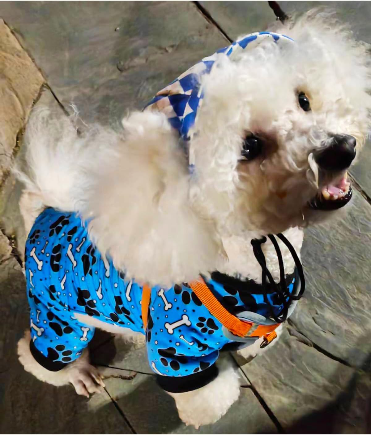 PET SHOW 4 Pack Small Dog Pajamas Paw Bone Patterns Cute Clothes for Medium Dogs Soft Fleece Stretchy PJs 4 Legged Jumpsuit Puppy Cats Onesies Outfits with Sleeve Dachshund Doggies Girl Boy (Small)