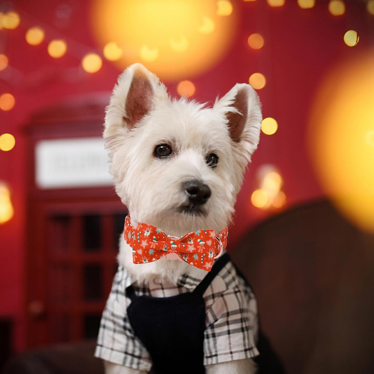 Unique Style Paws Christmas Day Dog Collar with Bow Red Gingerbred Cotton Puppy Collars for Small Medium Large Dogs