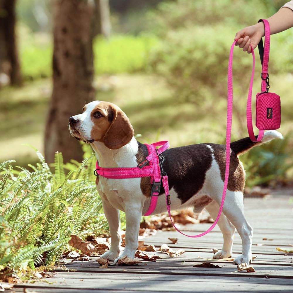 Didog No Pull Dog Harness with Soft Mesh Padded,Reflective & Quick Fit Light Weight Dog Strap Vest Harness,Easy for Walking Training (XS:Chest 15-18", Mesh-Hot Pink)