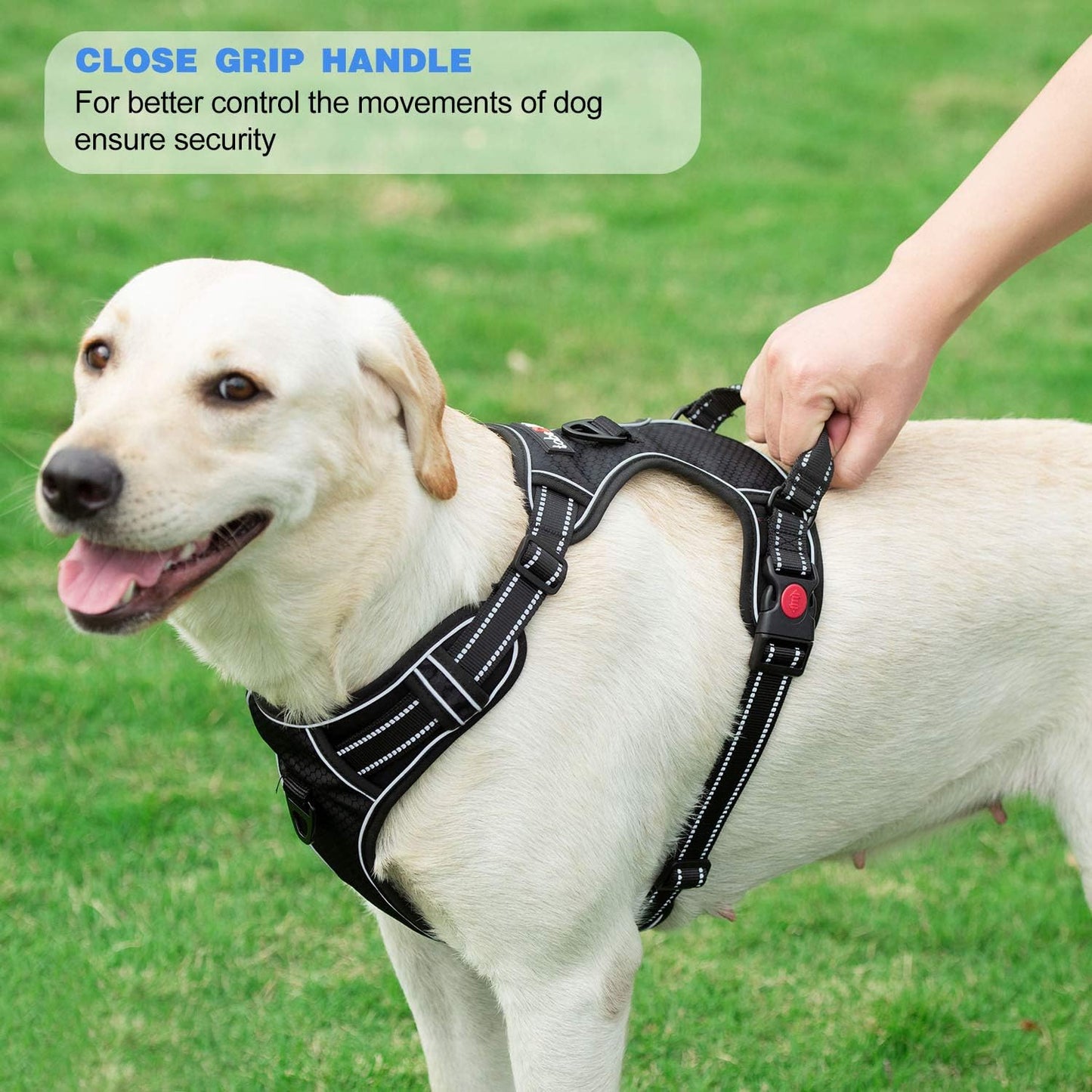 No Pull Dog Harness Adjustable Reflective Oxford Easy Control Medium Large Dog Harness with A Free Heavy Duty 5ft Dog Leash (M (Chest: 22"-26"), Orange Harness+Leash)