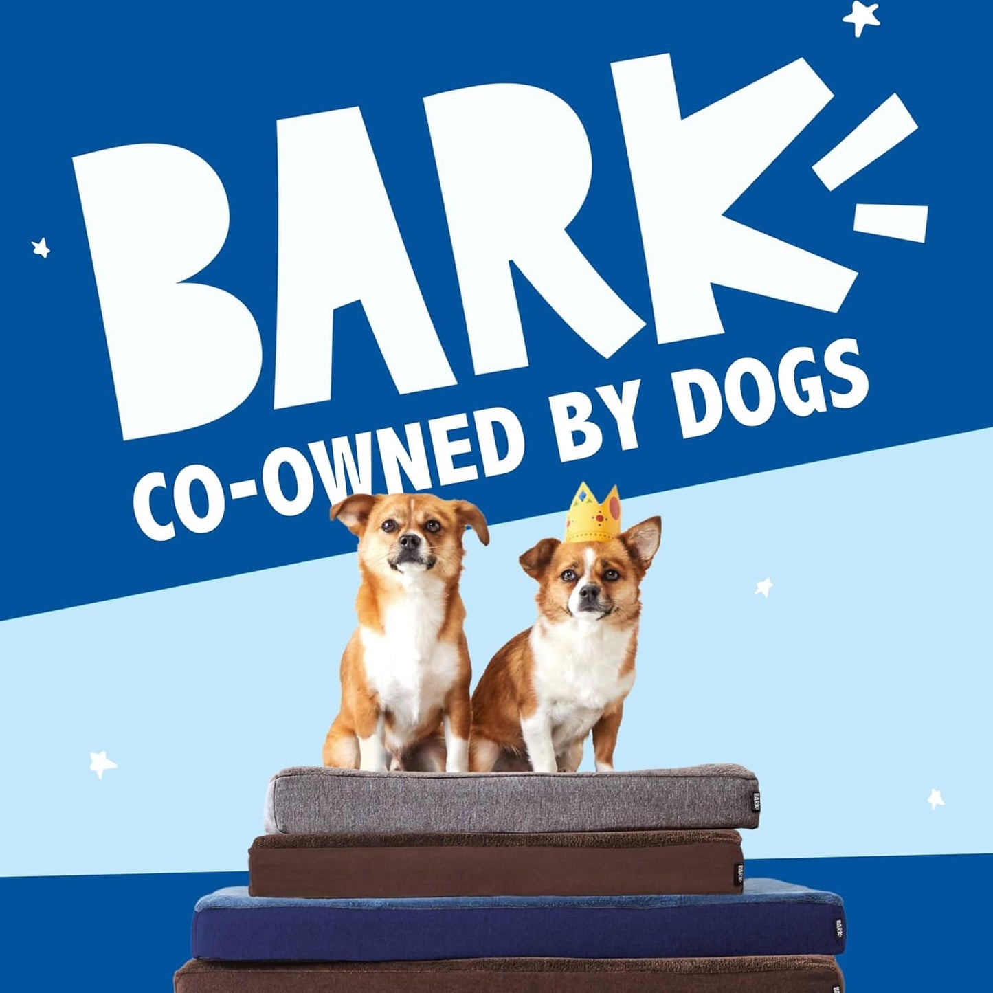 Barkbox Orthopedic Dog Bed with Memory Foam, Premium Comfort for Dogs and Puppies, Dog Bed for Joint Relief and Restful Sleep, Durable and Easy to Clean - Navy, Medium