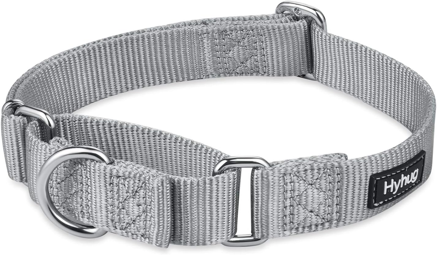 Hyhug Pets Premium Upgraded Heavy Duty Nylon Anti-Escape Medium Martingale Collar for Boy and Girl Dogs Comfy and Safe - Professional Training, Daily Use Walking. (Medium, Sleet Gray)