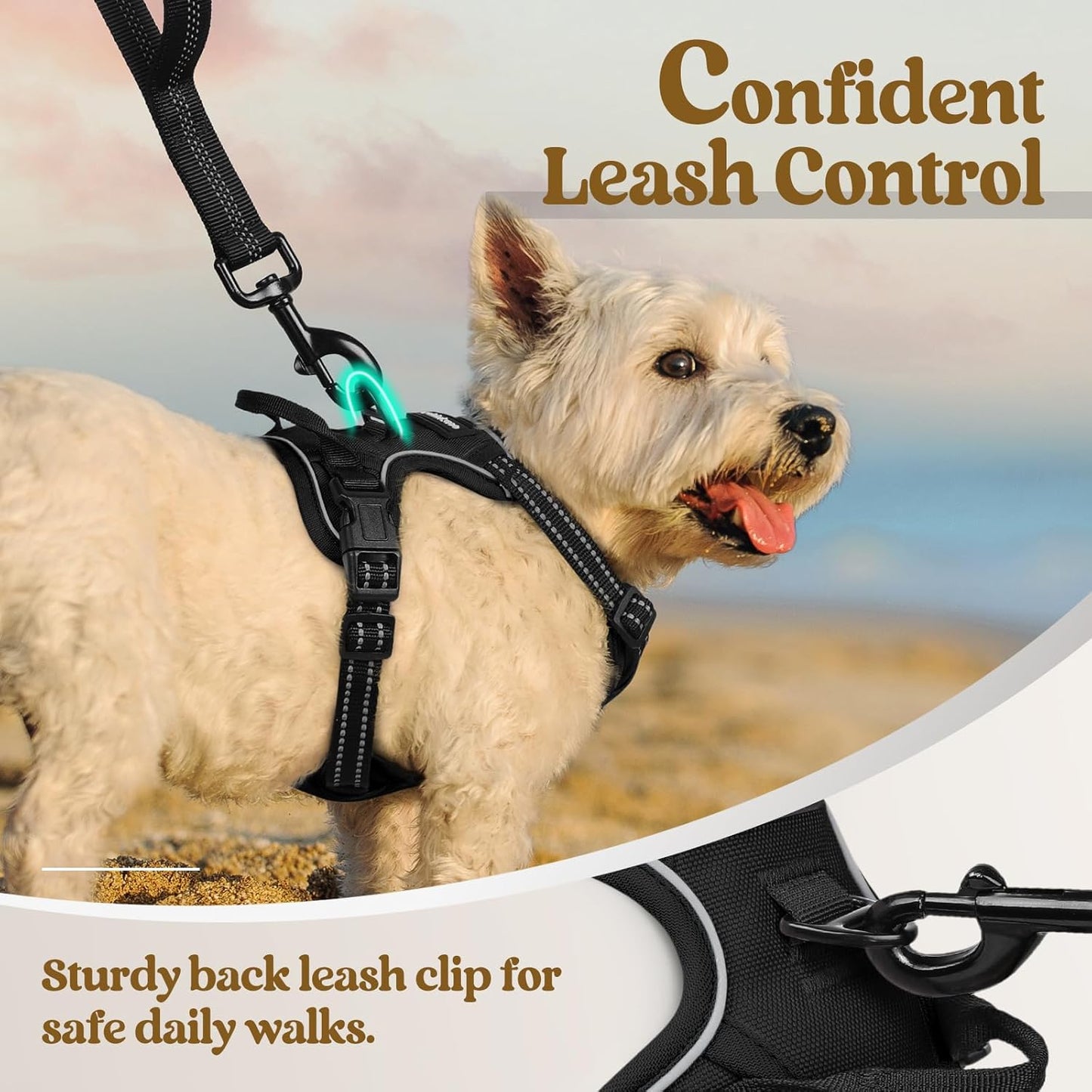 rabbitgoo Dog Harness No Pull with 2 Leash Clips, Adjustable Soft Padded, Reflective Oxford No Choke Pet Vest with Easy Control Handle for Puppy, Black, XS