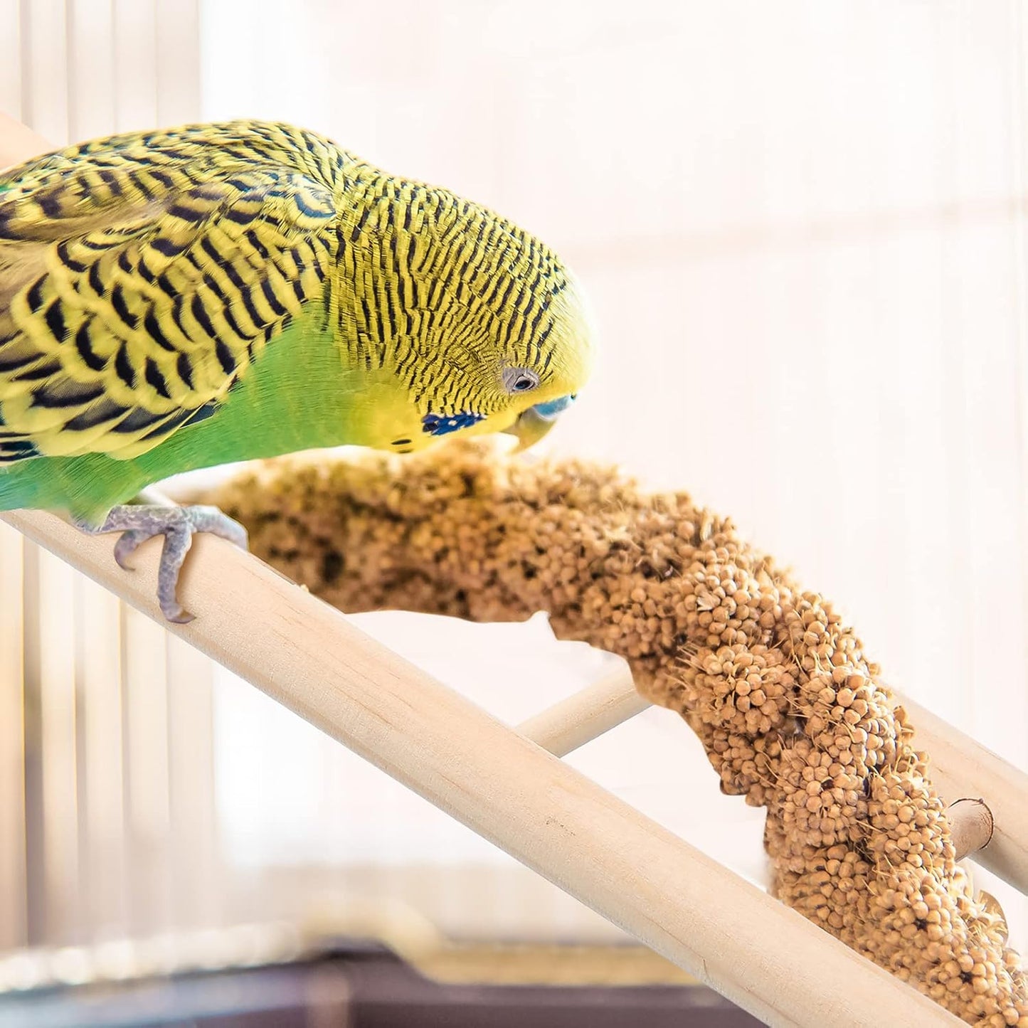 Kigeli 6 Pcs Wood Step Ladder for Bird, Hanging Bird Ladder Parrot Step Cage Hanging Climbing Toys for Parakeets, Parrots, Cockatoo and Lovebirds