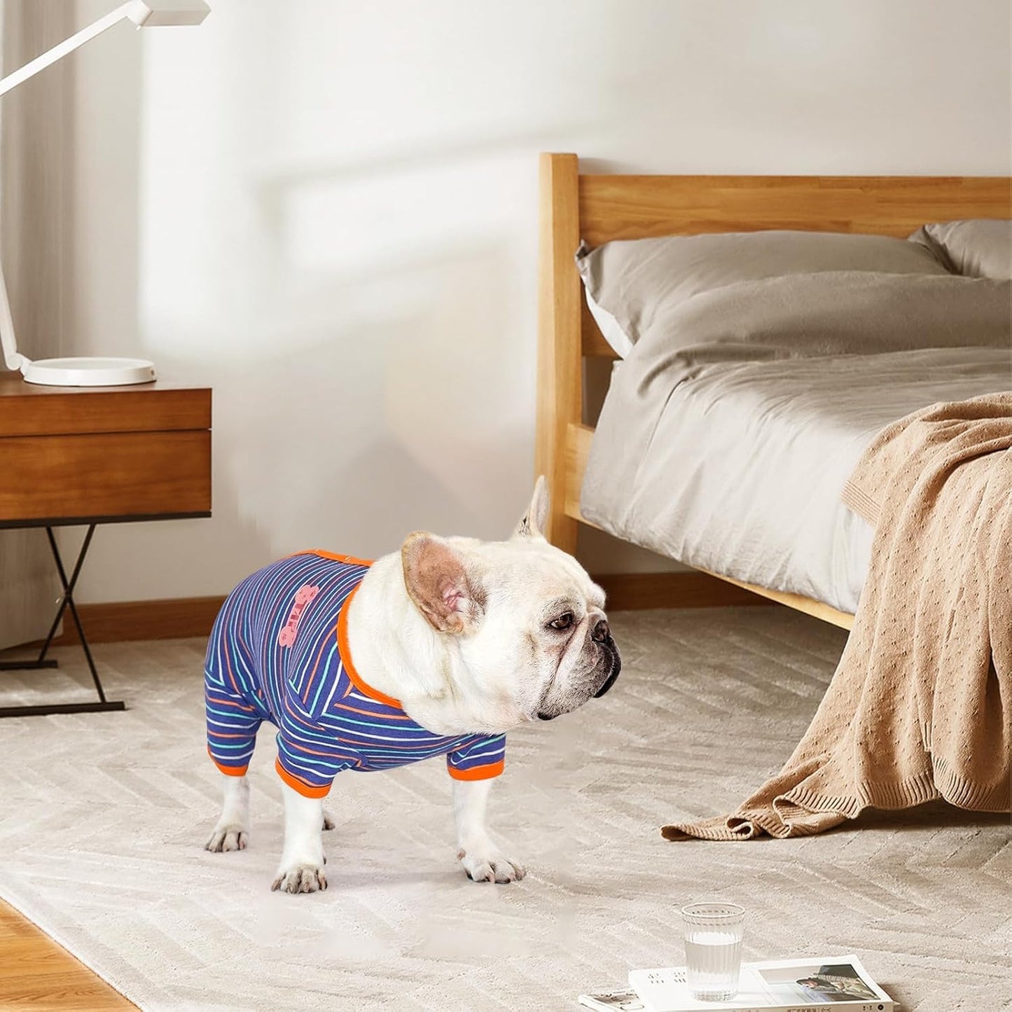 TONY HOBY Dog Pajamas, Male Dog Warm Pajamas with Thermal, Dogs Jumpsuit Shirt for Small Medium Dogs (Navy Blue, Boy, S)