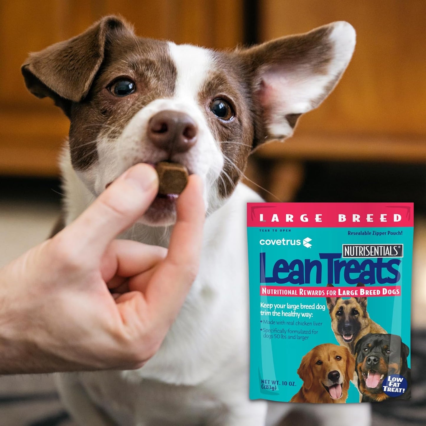 Covetrus Nutrisential Lean Treats for Large Dogs - Soft Dog Treats for Large Dogs - Nutritional Low Fat Bite Size K9 Treats - Chicken Flavor - 10oz - 16 Pack
