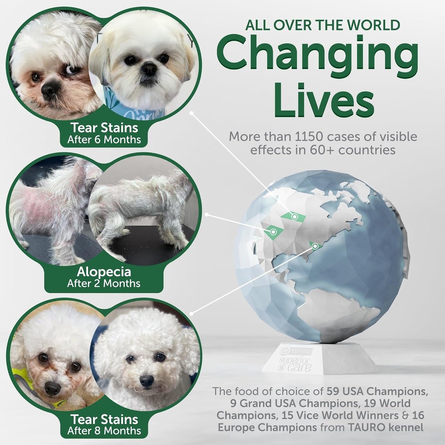 Nature's Protection Dry Dog Food for Small Breed - High Protein Tear Stain Diet for White & Light Fur Adult Dogs - Small Bites Kibble (Superior Care - Lamb and Rice, 22 lb)