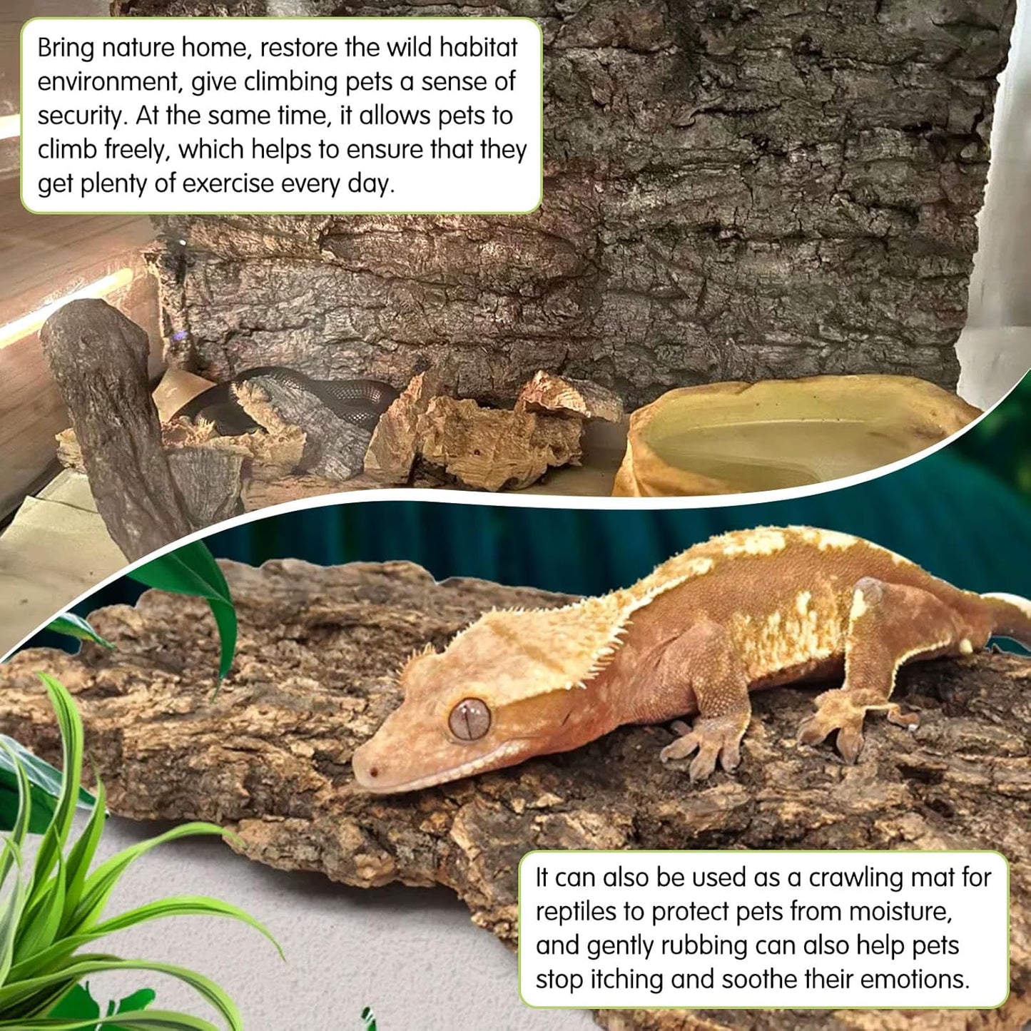 kathson 2PCS Cork Tile Background Bark 11.8”Lx7.9”W Terrarium Backdrop Wall Decor Natural Reptile Climbing Mat Habitat Decor for Spider Gecko Lizard Chameleon Bearded Dragon Turtle Snake