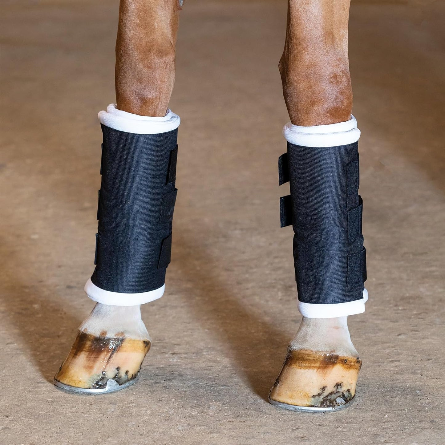 Schneiders Dura-Tech Tekno-Dri Quick Wrap No Bow Leg Wraps for Horses | Exceptional Support & Moisture-Wicking Protection | Color Navy | Size 14"