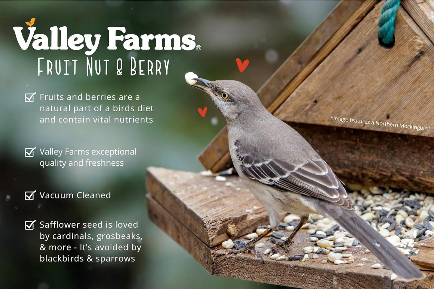 Valley Farms Fruit Nut & Berry Wild Bird Food for Outside Feeders, Bird Seed with Dried Fruit, Peanuts, Sunflower, and Safflower, High Energy Mix for Healthy Birds! (15 LBS)