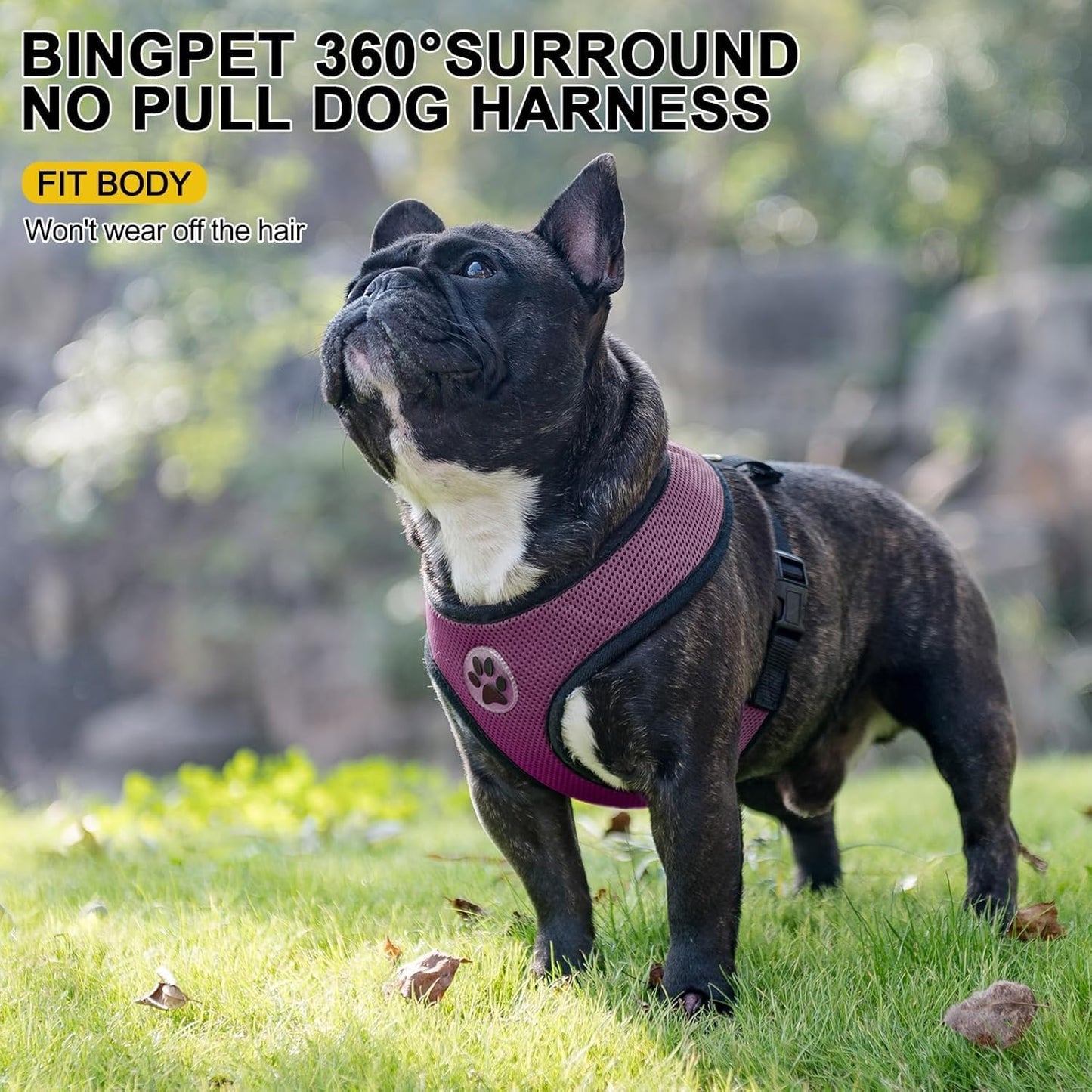 BINGPET Dog Vest Harness -Light Weight Breathable Sports Mesh - Pet Adjustable Harness Puppy Padded Harnesses Dog Vest Harness for Small Dogs