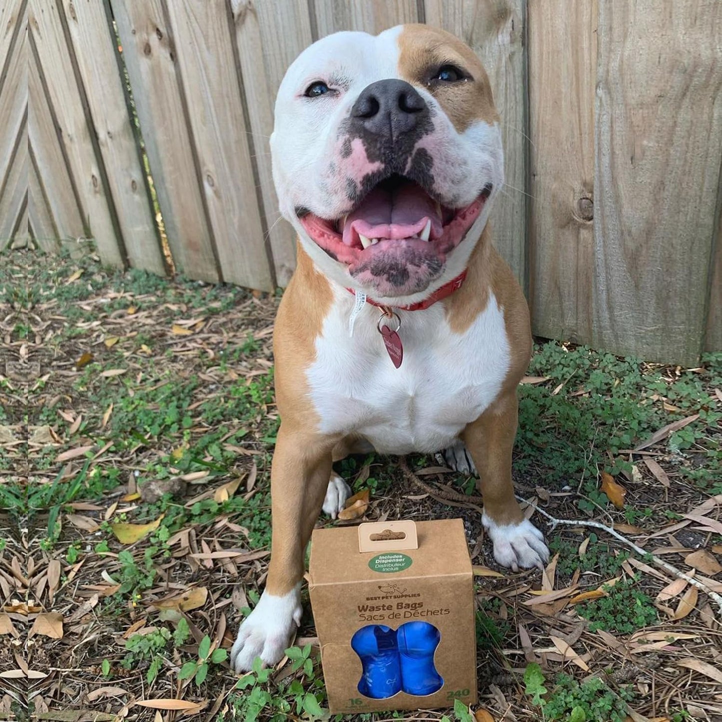 Best Pet Supplies Dog Poop Bags (240 Bags) for Waste Refuse Cleanup, Doggy Roll Replacements for Outdoor Puppy Walking and Travel, Leak Proof and Tear Resistant, Thick Plastic - Blue (Unscented)