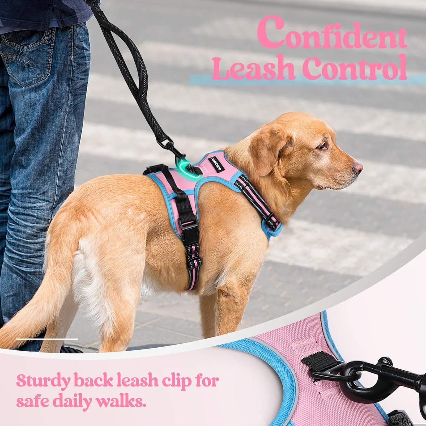 rabbitgoo Dog Harness No Pull with 2 Leash Clips, Adjustable Soft Padded, Reflective Oxford No Choke Pet Vest with Easy Control Handle for Small Dogs, Pink & Blue, S
