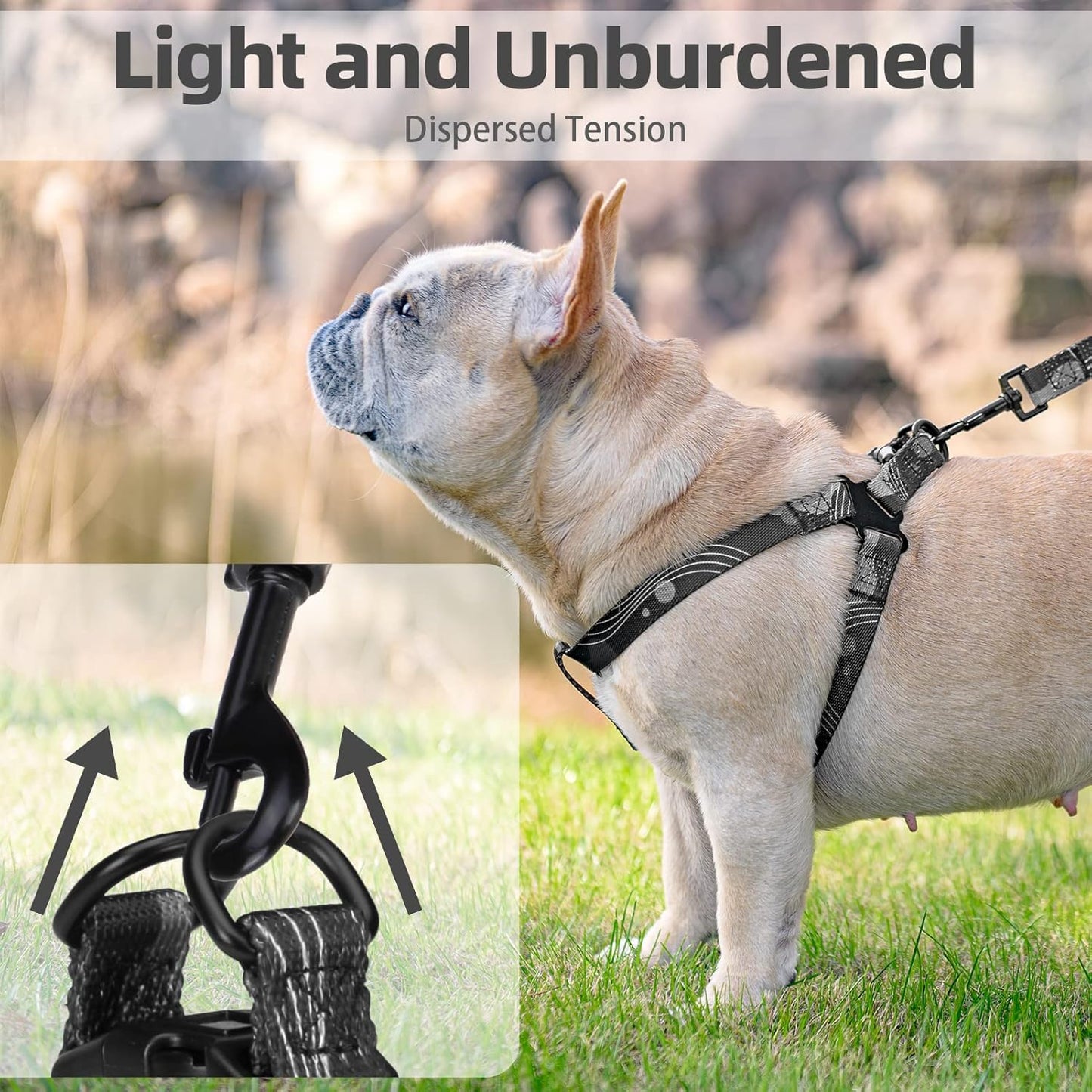 PUPTECK No Pull Dog Harness Soft Adjustable Basic Nylon Step in Puppy Vest Outdoor Walking with Leash