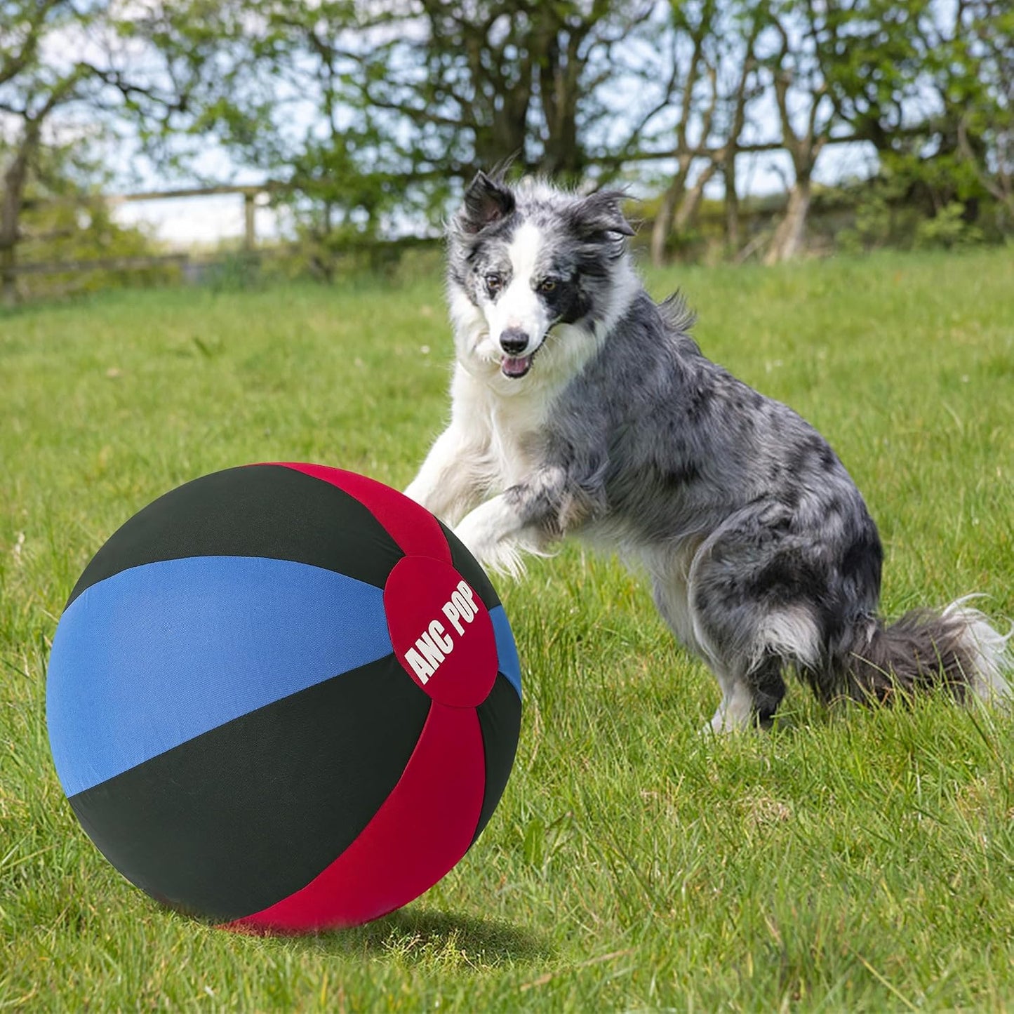 Herding Ball for Dogs Horse Ball& Cover 25" for Horses Large with Hand Pump for Play, Red and Blue and Black