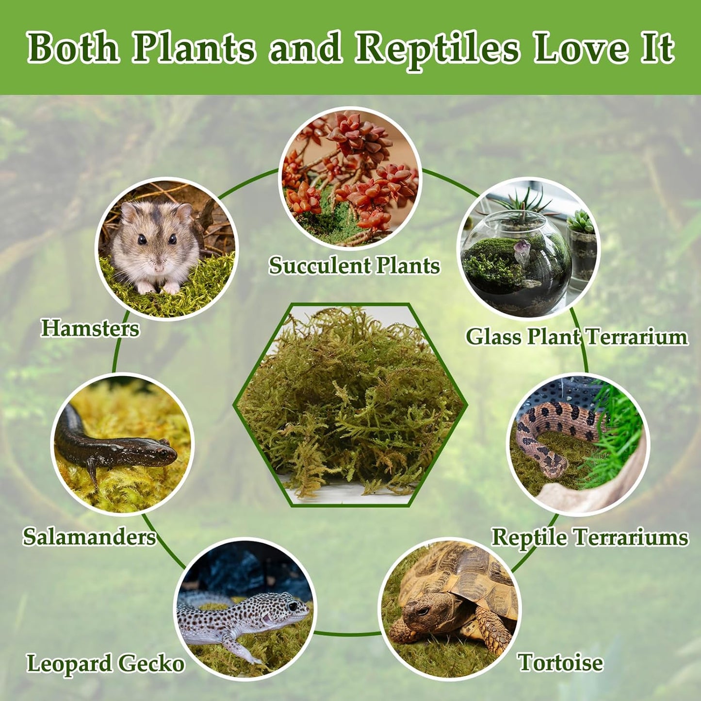 Halatool 5OZ Natural Sphagnum Moss for Reptiles- 8QT Green Live Moss for Terrarium Plants Long Fiber Reptile Moss for Leopard Gecko Snake Hamsters Tortoises Frogs Lizards Salamanders