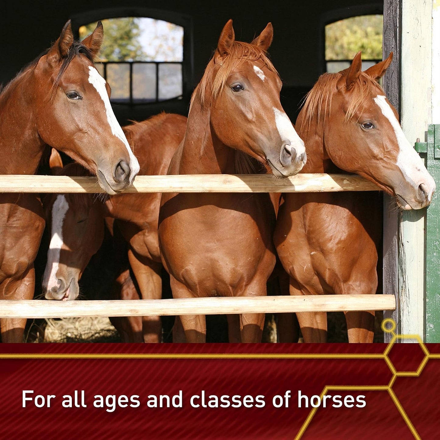 Pro E-5000 Premium Quality Horse Vitamin E, 4 lbs., 128-Day Supply