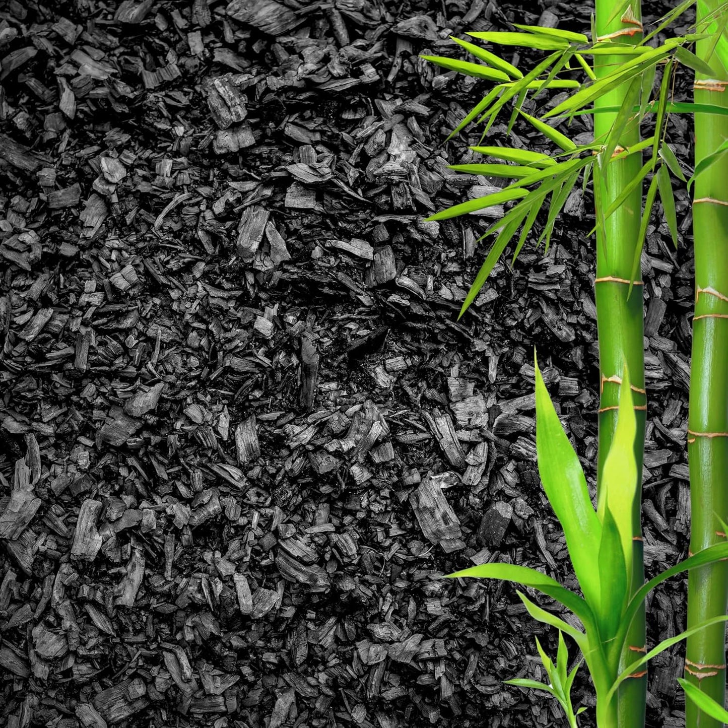 Horticultural Charcoal for Plants β Organic Bio Char Soil Amendment for Terrariums, Indoor Plants & Gardening, Made in USA (15 quarts)