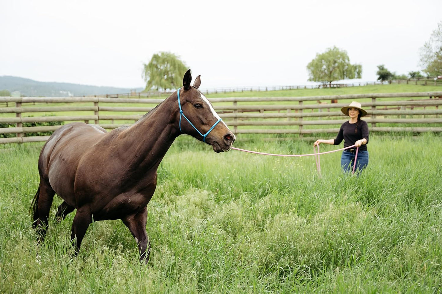 22' Long Line with SS O Ring and Carabiner (Burgundy Beige)