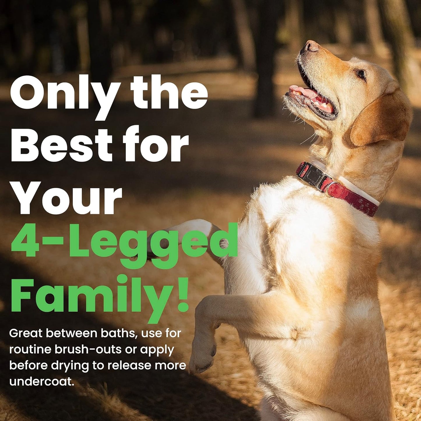 Best Shot Ultra Vitalizing Mist Detangler, 16 oz