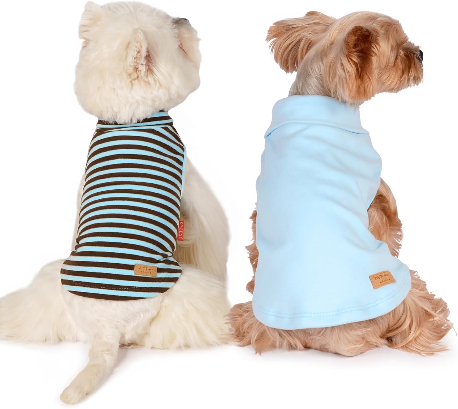 Dog Apparel & Accessories