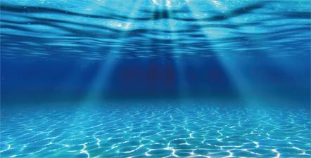 Natural Undersea Aquarium Background, Underwater Ocean Sunlight Fish Tank Background 24X12IN with 8 EVA Double-Sided Tape