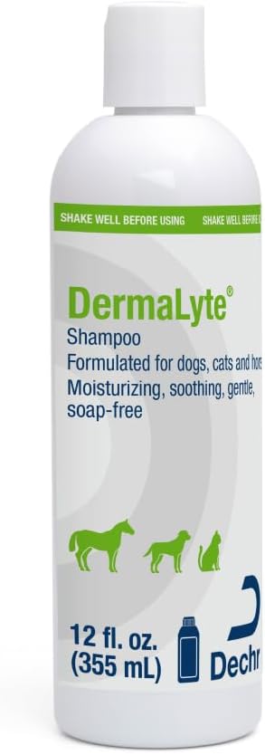 Shampoo, 12 Ounce