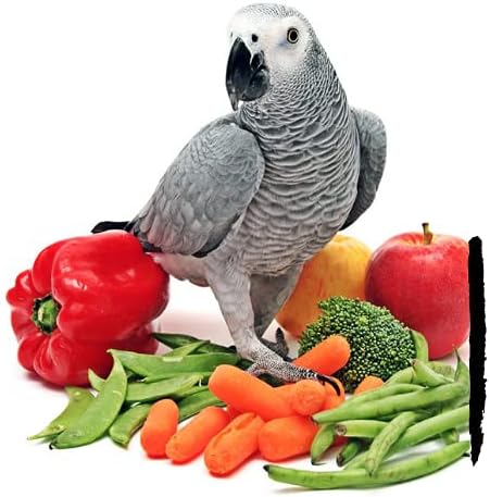Parrot Food - Parakeet- Cockatiel Food - Bird Food - Cooks in 3-15 min w/Natural & Organic Grains - Legumes - Non-GMO Fruits, Vegetables, & Healthy Spices