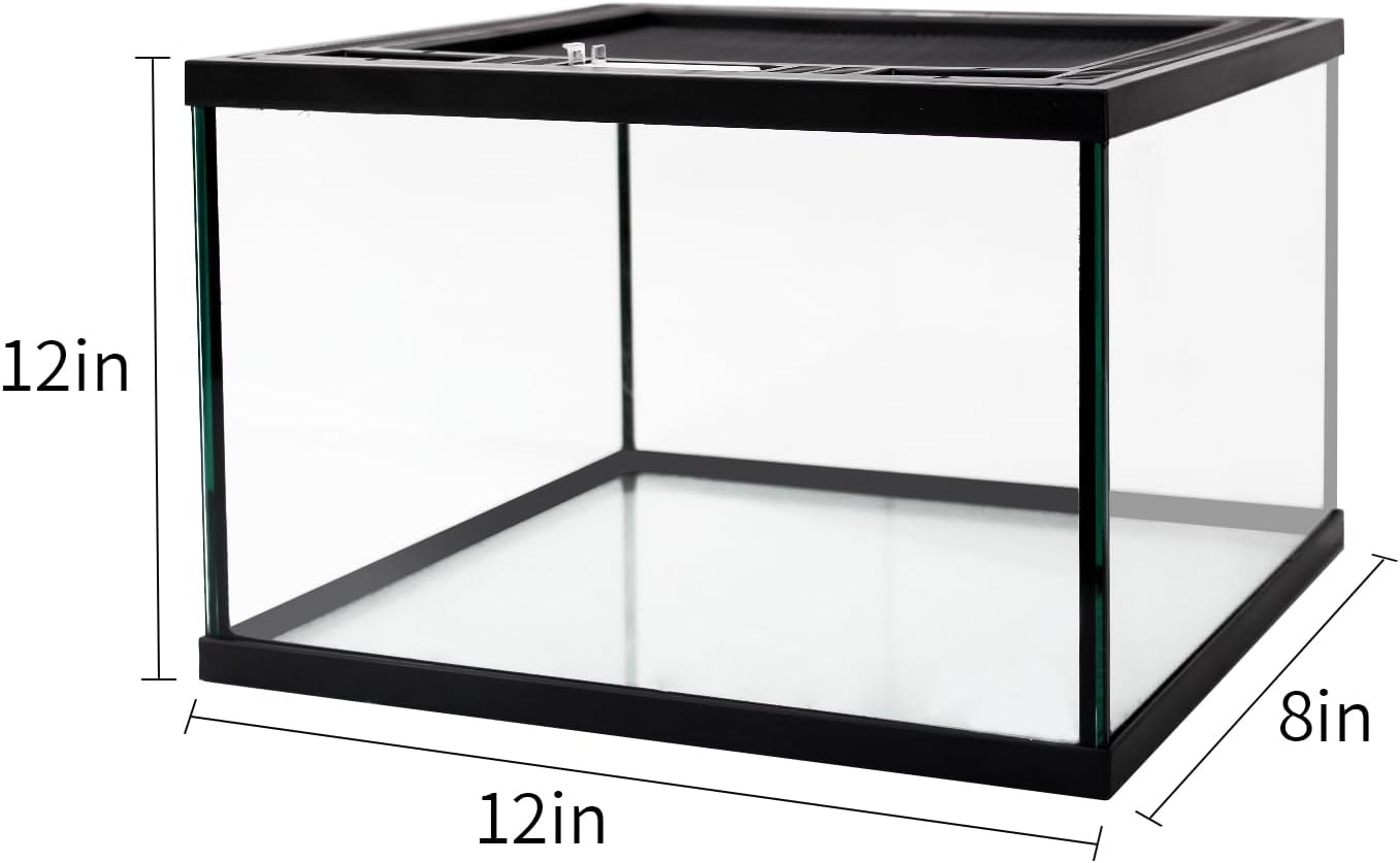 Reptile Glass Terrarium Tank 12 * 12 * 8" Full View with Top Ventilation, Amphibians Box Habitat Enclosure Cage for Frog,Spiders,Dubia Cockroach,Praying Mantis,Cricket,Tarantula,Hermit Crab