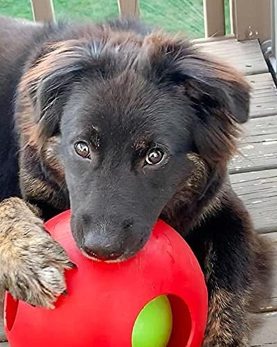 Jolly Pets Teaser Ball Dog Toy, Large/8 Inches, Red (Pack of 2)