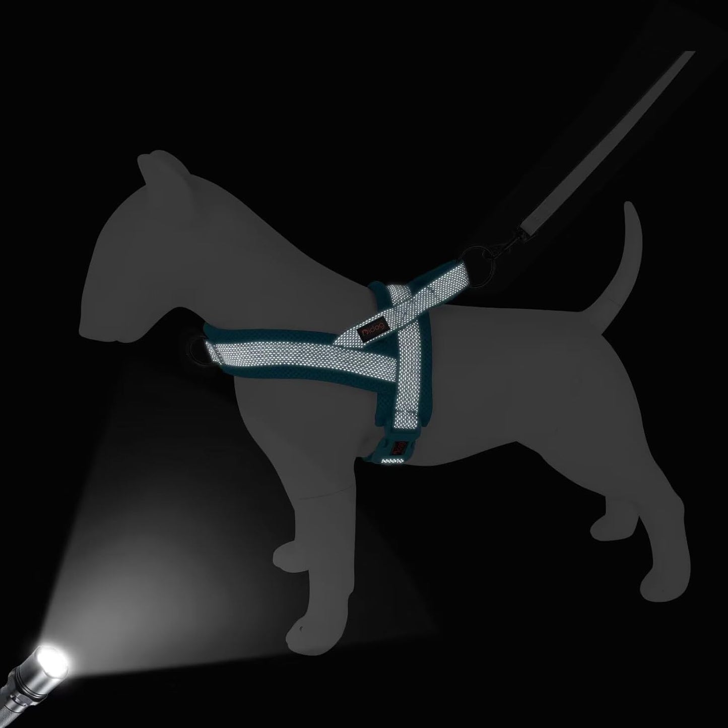 Didog No Pull Dog Harness with Breathable Mesh Padded, Full Reflective & Quick Fit Adjustable Vest Harness, Easy for Training Walking for Small & Medium and Large Dogs (Blue, S:Chest 18-22")