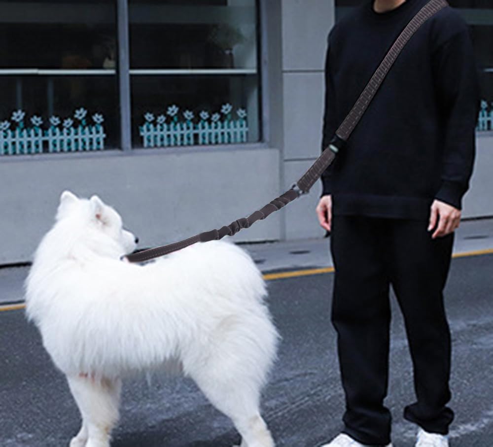 Hands Free Dog Leash for Large Medium Dogs Heavy Duty Bungee Reflective Adjustable Waist Leashes for Walking Running with Car Buckle 4-6FT (Black)